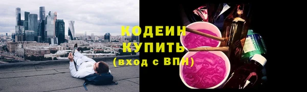 мяу мяу мука Гусь-Хрустальный