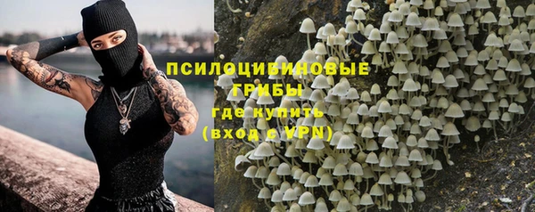 не бодяженный Гусев