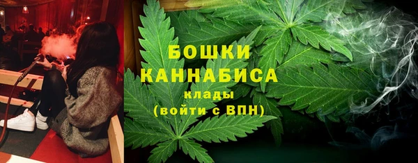 мяу мяу мука Гусь-Хрустальный