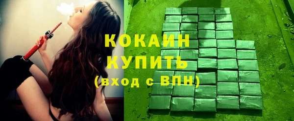 мяу мяу мука Гусь-Хрустальный